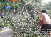 Babinsa Koramil Girsang Sipangan Bolon Bersama BPBD dan Warga Evakuasi Pohon Tumbang di Parapat