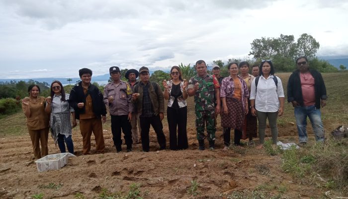 Sinergi Babinsa dan Warga Wujudkan Ketahanan Pangan Lewat Penanaman Cabai di Saribu Dolok