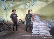 Jelang Tahun Baru 2026, Babinsa Saribudolok Bangun Kedekatan dengan Pengusaha Kilang Padi