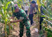 Dandim 0207/Simalungun Panen Raya di Lapas Kelas II A Siantar