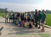 Babinsa Bosar Maligas Dampingi Petani Kendalikan Hama Penggerek Batang