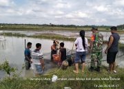 Babinsa Koramil Tanah Jawa Dukung Ketahanan Pangan Lewat Panen Ikan