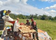 Humanis dan Bersahaja, Babinsa Raya Bantu Warga Giling Padi di Limag Raya