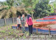 Komsos Humanis Babinsa Bosar Maligas, Ternak Lele Jadi Harapan Penghasilan Keluarga
