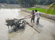 Babinsa Koramil 10/Tanah Jawa Dampingi Petani Olah Sawah dengan Hand Traktor Modern