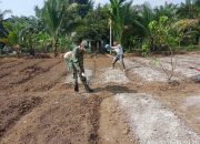 Peduli Ketahanan Pangan, Babinsa Bantu Kelompok Tani Perbaiki PH Tanah