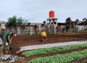 Babinsa Koramil Saribudolok Turun Langsung Dampingi Petani Kelola Lahan Pertanian