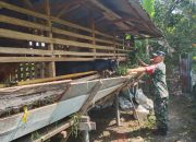 Babinsa Tanah Jawa Ajak Warga Jaga Kebersihan Kandang Demi Kesehatan Ternak
