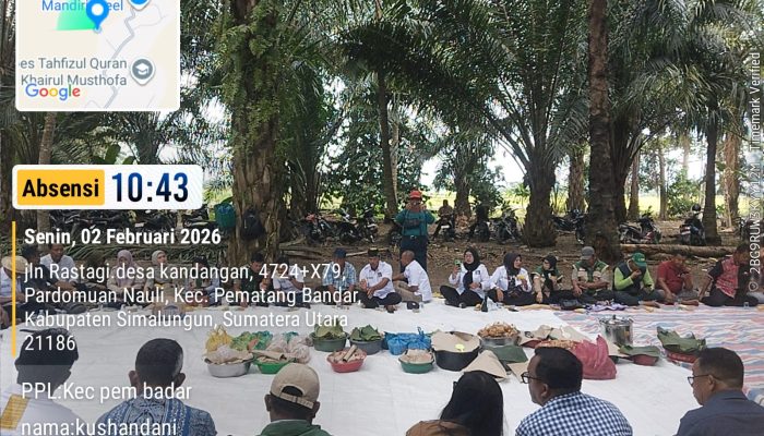 Babinsa Hadiri Syukuran Panen Padi, Wujud Kebersamaan TNI dan Petani di Nagori Kandangan