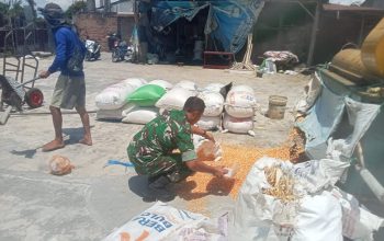 Babinsa Siantar Selatan Bantu Warga Giling Jagung di Mekar Nauli
