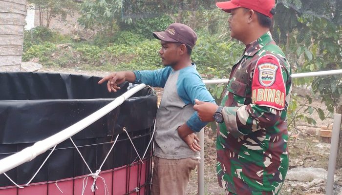 Babinsa Serbelawan Dampingi Pengelola BUMNag, Bahas Perawatan Air untuk Tingkatkan Hasil Ternak Lele