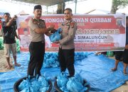 Kapolres Simalungun Pimpin Pemotongan 12 Sapi dan 13 Kambing Qurban, 1.200 Paket Daging Disalurkan ke Masyarakat*