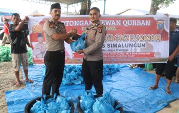Kapolres Simalungun Pimpin Pemotongan 12 Sapi dan 13 Kambing Qurban, 1.200 Paket Daging Disalurkan ke Masyarakat*