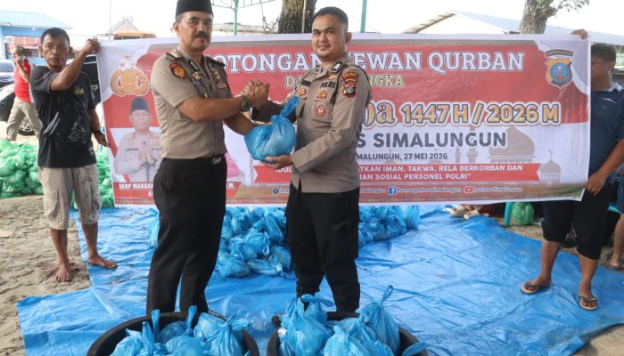 Kapolres Simalungun Pimpin Pemotongan 12 Sapi dan 13 Kambing Qurban, 1.200 Paket Daging Disalurkan ke Masyarakat*