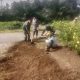 Bahu Membahu Demi Lingkungan Asri, Babinsa dan Warga Sulap Taman Desa Jadi Lebih Indah