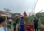 Perkuat Sinergi di Wilayah, Babinsa Koramil 03/Siantar Selatan Gotong Royong Bersama Aparat Kecamatan dan Kelurahan