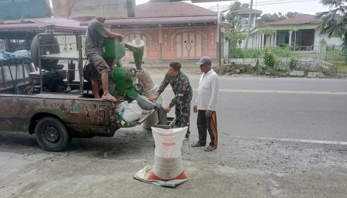 Tak Sekadar Dampingi di Sawah, Babinsa Turun Langsung Bantu Petani Giling Padi di Simarimbun