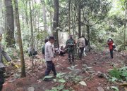 TNI-Polri dan Mahasiswa Patroli Bersama di KHDTK Aek Nauli, Pengamanan Hutan Diperkuat
